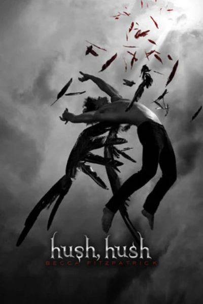Hush, Hush   by Becca Fitzpatrick