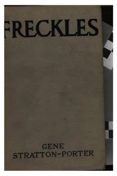 Freckles by Gene Stratton-Porter - book cover