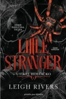 Little Stranger (The Web of Silence Duet, #1) by Leigh Rivers